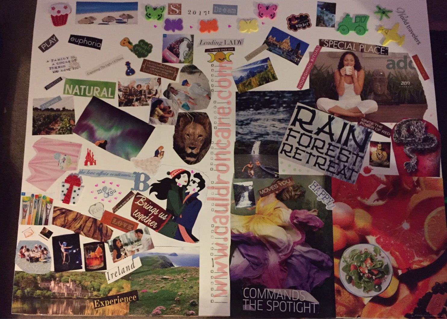 Completed Vision Board, Bring it 2017!